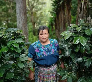 500g Organska Zrna Kave Dona Juana Gvatemala - Fairtrade - La Semeuse