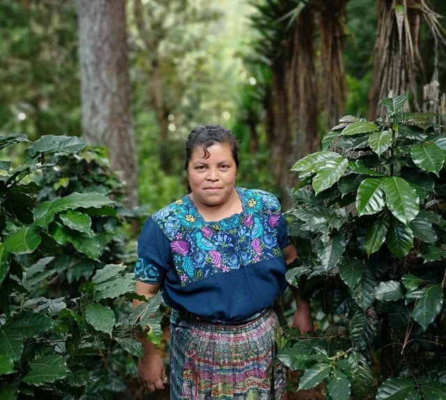 500g Organic Whole Bean Coffee Dona Juana Guatemala Fairtrade - La Semeuse