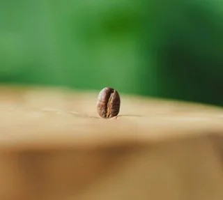 5 kg Bio Kaffeebohnen Die Sirga-Mischung 100% Arabica - Green Lion Coffee