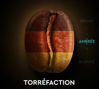 CARTE NOIRE Klasszikus Espresso 7. szám - 60 kapszula Nespresso* Original kompatibilis