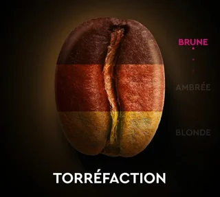 Carte Noire Intenzív Espresso 9 - 60 kapszula Nespresso* Original kompatibilis