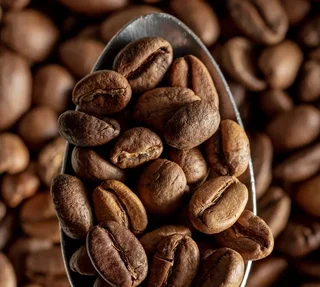 8kg Sweet Dreams Organic Decaf Whole Bean Coffee - GREEN LION COFFEE