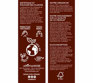 Golden Latte Curcuma Gingembre Bio - Vrac 60 g - AROMANDISE