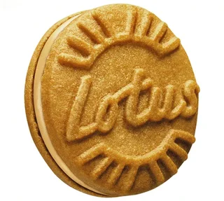 Scatola Biscoff Ripiena Crema di Speculoos - 120 biscotti - LOTUS