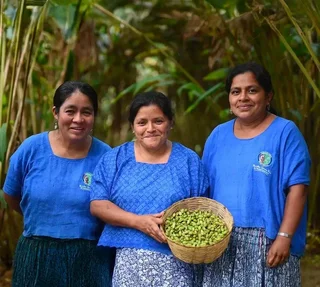 CAFÉ MOKXA - Guatemala Kekchi Bio - 250g Caffè in Chicchi