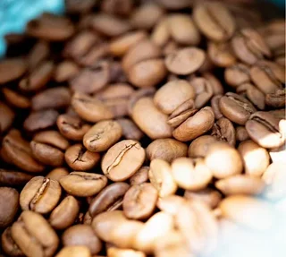 1 Kg Organska Kava u Zrnu Bez Kofeina za Profesionalce - Cafés Preko