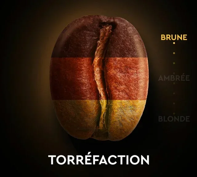 CARTE NOIRE N°6 Espresso Forte - 10 Cápsulas compatíveis Nespresso* Original