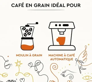 CARTE NOIRE - Solid Beans Whole Coffee 2kg (4x500g) - Professional Grade