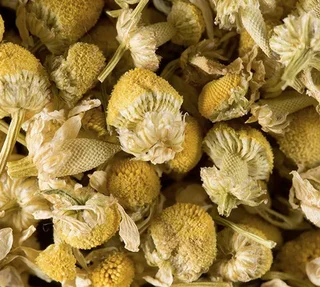 Kamille Thee Los 100g - DAMMANN FRÈRES