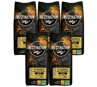 Caffè in grani 100% Arabica Moka Bio Etiopia - 5x1kg - Destination