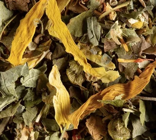 Έγχυμα Εξωτικών Φρούτων DAMMANN FRÈRES - Χύμα 100 g