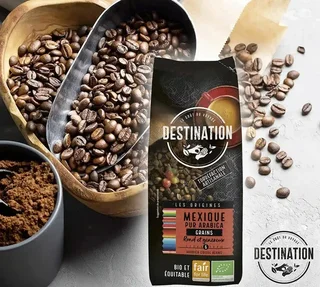 Destination Chiapas Messico 100% Arabica Bio - 250g Grani