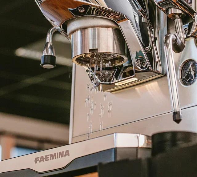 FAEMA Faemina pro espresso machine polished aluminum anodized black