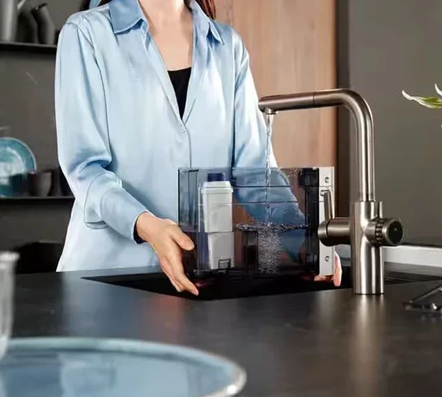 Filter Cartridge DELONGHI DLSC002 for Bean-to-Cup Coffee Machines