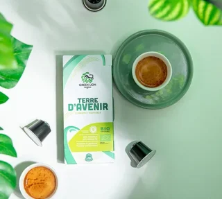 10 db Bio Nespresso* Original Kompatibilis Kapszula Fair Trade - GREEN LION COFFEE