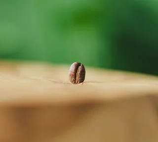 250 g - Økologiske Kaffebønner - Monte Verde Fair Trade - GREEN LION COFFEE