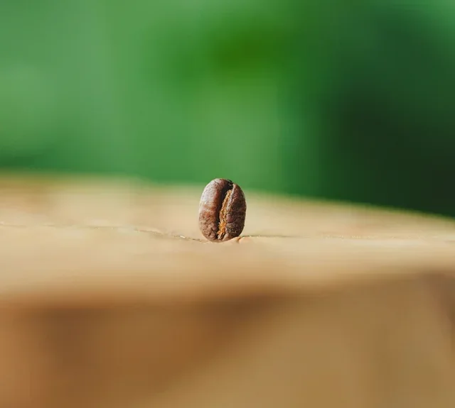 250 g - Økologiske Kaffebønner - Monte Verde Fair Trade - GREEN LION COFFEE