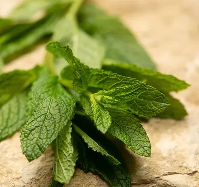 Vihreä Minttutee 100g - Irtonainen - DAMMANN FRÈRES