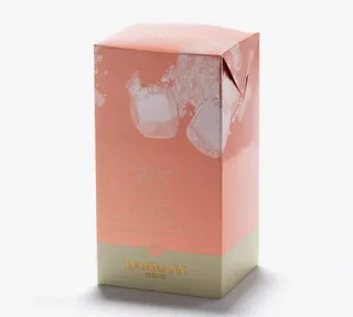 Jeges Barackos Tea - 6 filter - DAMMANN FRÈRES