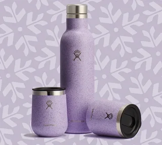 Insulated Wine Bottle 75 cl + 2 Glasses 29 cl Set - HYDRO FLASK