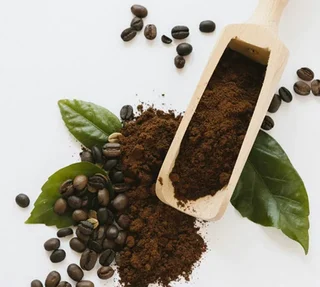 L'Aventure - 1 kg Szemes Kávé Profiknak | Cafés Tchanqués