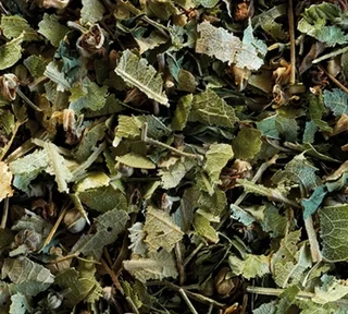 Linden Mint Herbal Tea - 25 Berlingos - COMPAGNIE &amp; CO