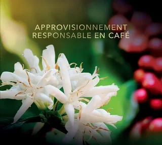 450 g - Κόκκοι Καφέ - Maranello Espresso - L'OR