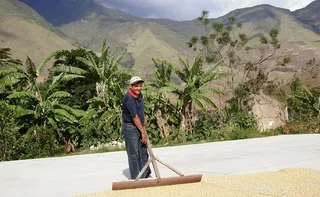 LUGAT Ground Coffee - Organic Peru Altura - 250g