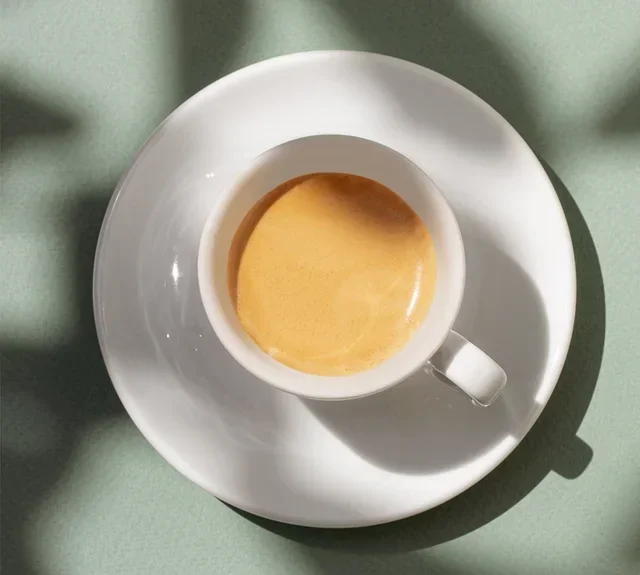 LUGAT Intenso – 400 kapsula za Nespresso* Original, profesionalna upotreba