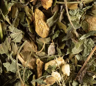 Magic Ginger Herbal Tea Ginger Lemon Honey - Loose 100g - DAMMANN FRÈRES