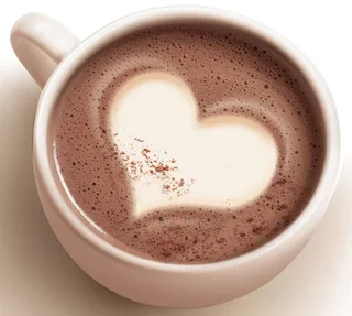 MONBANA Organic 4-Star Milk Chocolate Powder - Bulk 1 kg