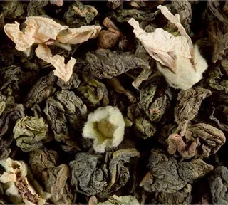 Scatola n. 501, tè Oolong Weekend a Parigi – confezione da 100 g – DAMMANN FRÈRES.