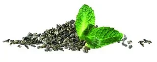 Bio-Grüntee mit Nanah-Minze – Fair Trade – 20 Teebeutel – Terra Etica