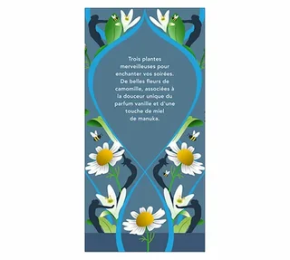 Organic Enchanted Night Professional Infusion - 6x20 bags PUKKA