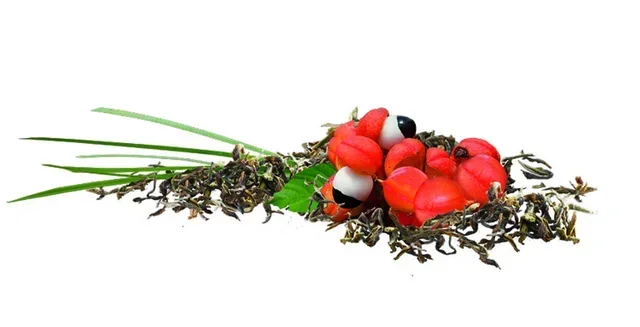 Bio Fairtrade Grüntee Guarana Zitronengras - 20 Beutel - Terra Etica