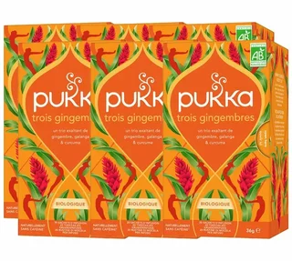 PUKKA Bio Három Gyömbér Főzet - 6x20 filter szakembereknek