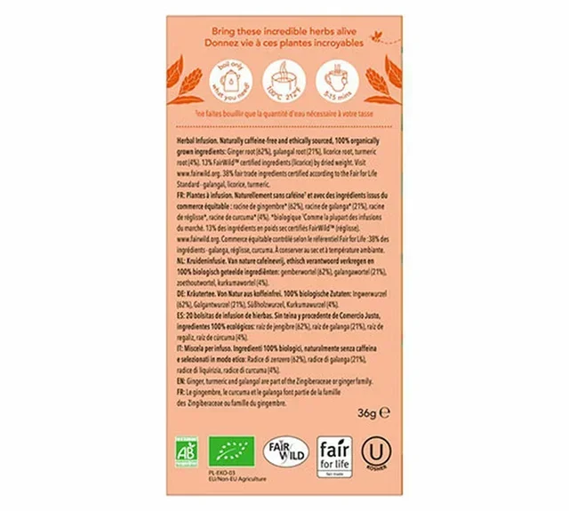 PUKKA Bio Három Gyömbér Főzet - 6x20 filter szakembereknek