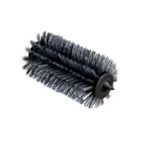 Escova Substituição Pallo Rollster