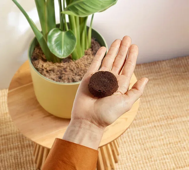 Macchina da caffè automatica PHILIPS Baristina BAR300/00 bianca