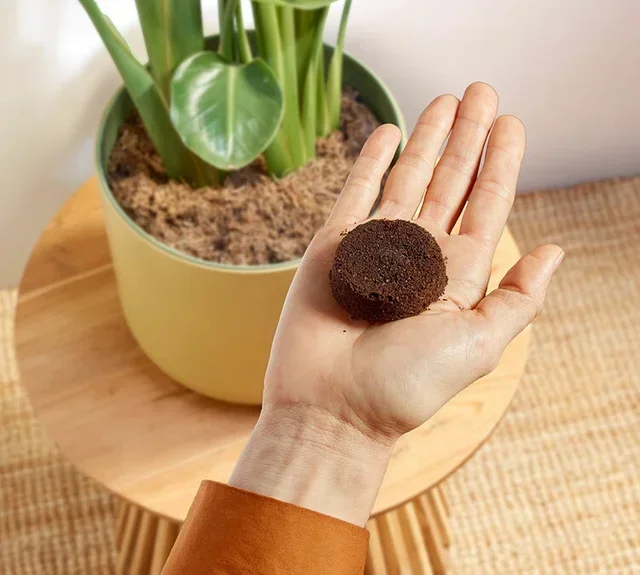 PHILIPS Baristina BAR300/60 Nero - Macchina Caffè Automatica con Macinacaffè