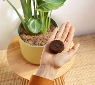 Maquina café automática PHILIPS Baristina BAR303/00 com moinho e espumador de leite - Branco