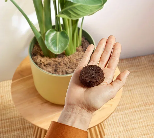 Maquina café automática PHILIPS Baristina BAR303/00 com moinho e espumador de leite - Branco