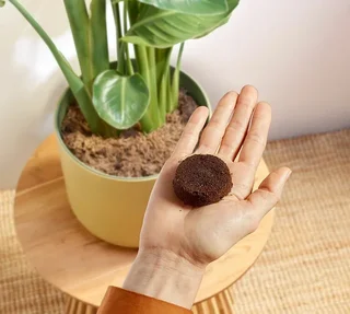 PHILIPS Baristina BAR303/60 Espresso Machine with Built-in Grinder and Milk Frother – Black