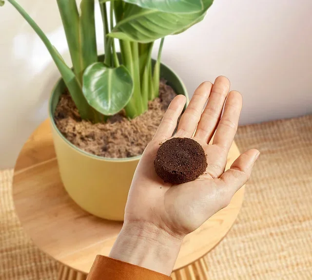 PHILIPS Baristina BAR303/60 Espresso Machine with Built-in Grinder and Milk Frother – Black