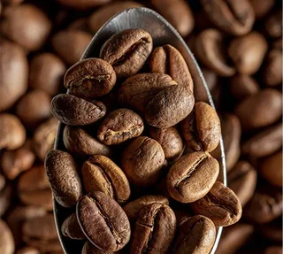 Professional Lavazza Whole Bean Coffee 1kg - Rich Crema