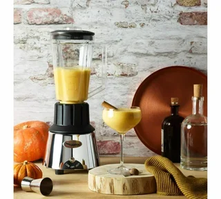 Професионален блендер Santos 33, хромиран, 1,25 л