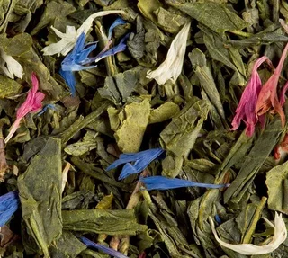 Sencha L'Oriental Green Tea - 100 g Loose Leaf - DAMMANN FRÈRES