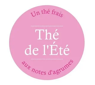 Παγωμένο τσάι – Τσάι του Καλοκαιριού – 10 φακελάκια – COMPTOIR FRANÇAIS DU THÉ