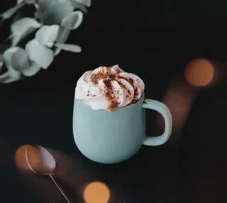 Terra Sage Mug 33 cl by PYLANO