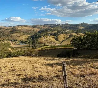 THE BARN Los Naranjales - Kava u zrnu 250 g